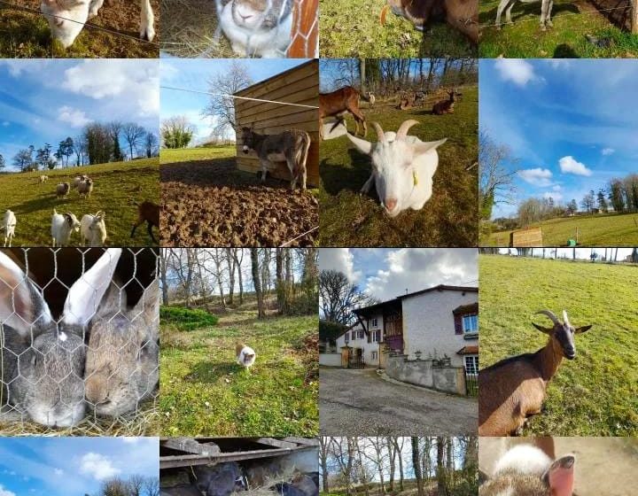 Ferme d’animation Domaine de la Doux