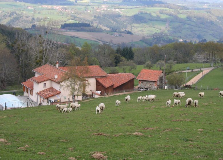 La Ferme de Taverne