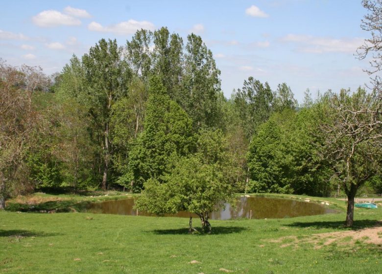 La Ferme de Taverne