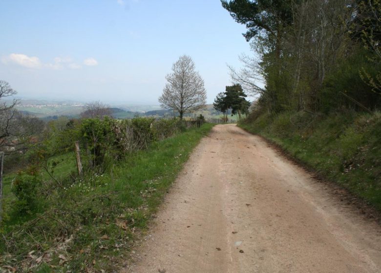 La Ferme de Taverne