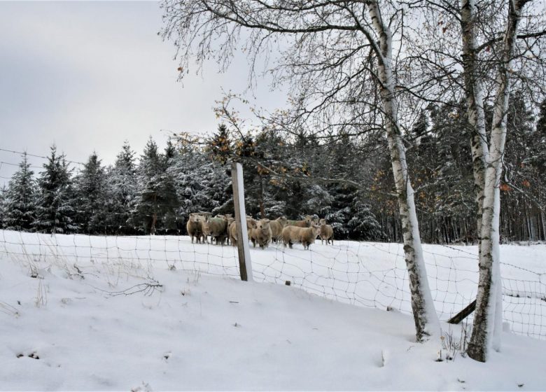 La Ferme de Taverne