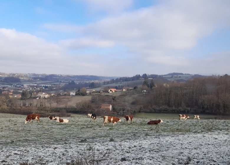 Ferme du Vieux Bourg