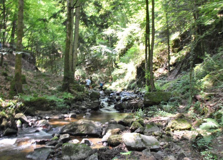 Cascade de Corbillon