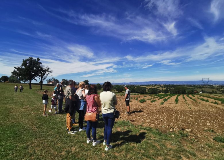 Visite à la ferme de chanvre bien-être et CBD