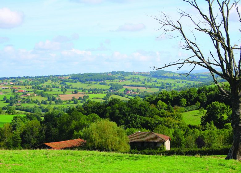 Sur les traces de Louis Mercier