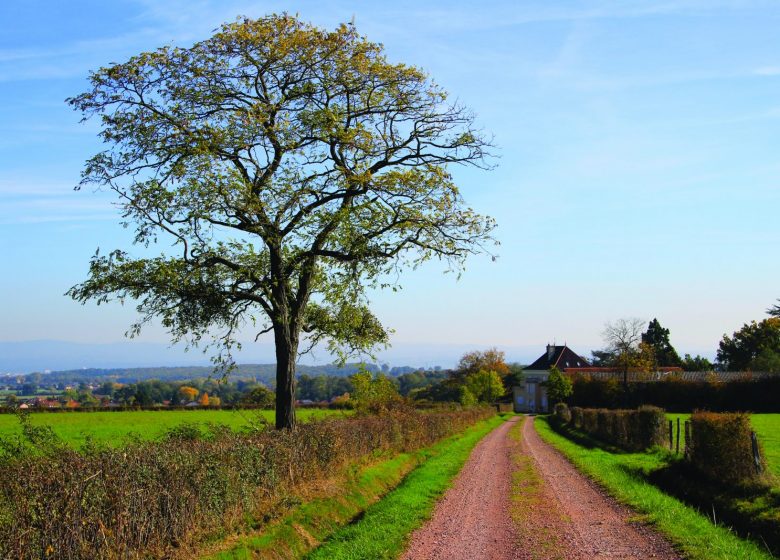 De la source à la colline