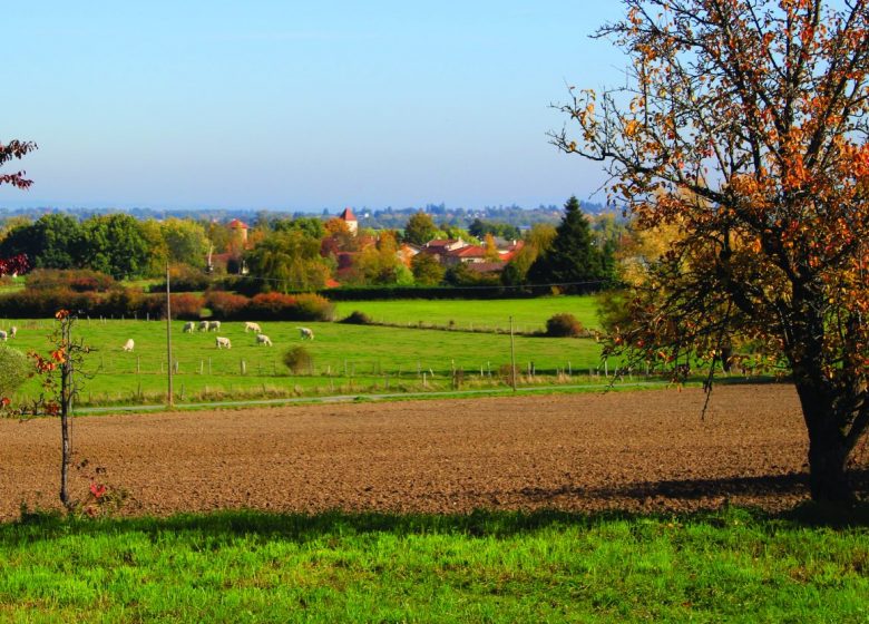 De la source à la colline