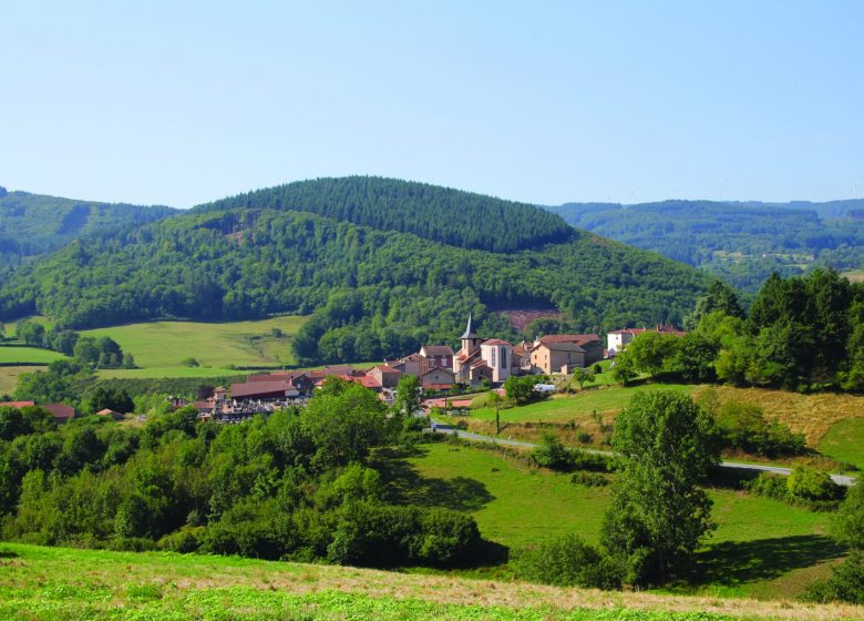 Pommier chenin