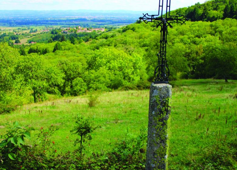 La Forêt de Pardières