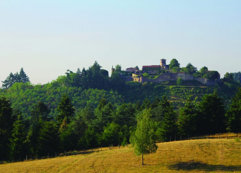 La Forêt de Pardières