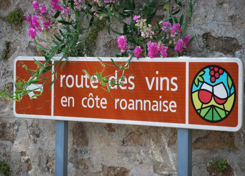 Route des Vins Forez-Roannais en Loire Volcanique (Côte Roannaise)