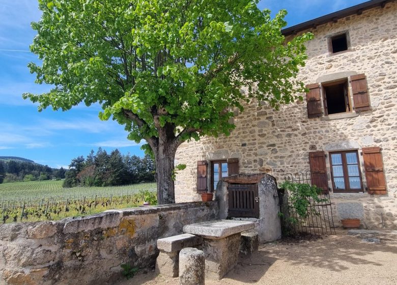 Domaine de la Paroisse – Jean-Claude et Laëtitia Chaucesse