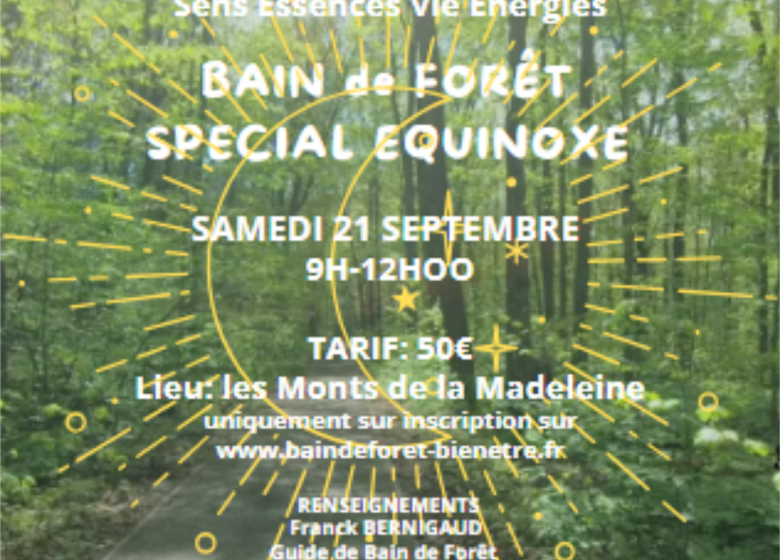 Bain de Forêt Le 21 sept 2024