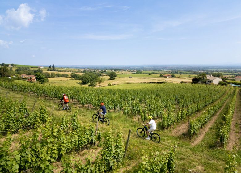 Boucle 3 / La Romantique / Saint-Haon-le-Vieux – Saint-Haon-le-Châtel