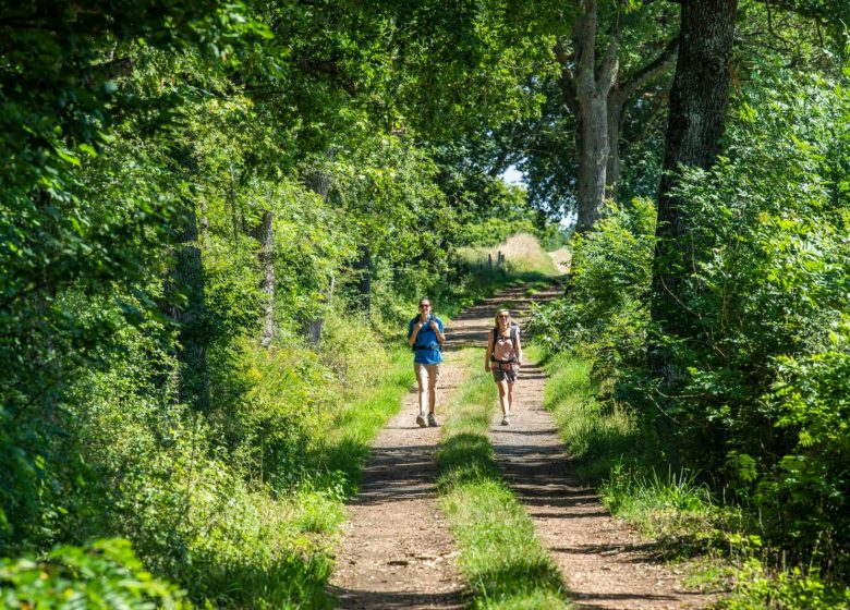 GR® 765 Saint-Jacques-de-Compostelle : de Saint-Haon-le-Châtel à Pommiers en Forez