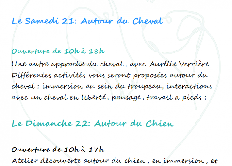 « Pré Ouvert » Approche Chevaux et Chiens par Aurélie Verrière