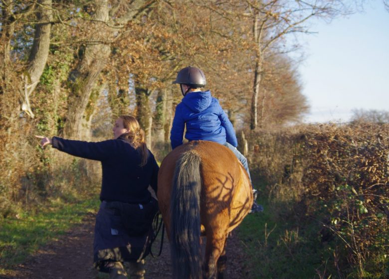 « Pré Ouvert » Approche Chevaux et Chiens par Aurélie Verrière