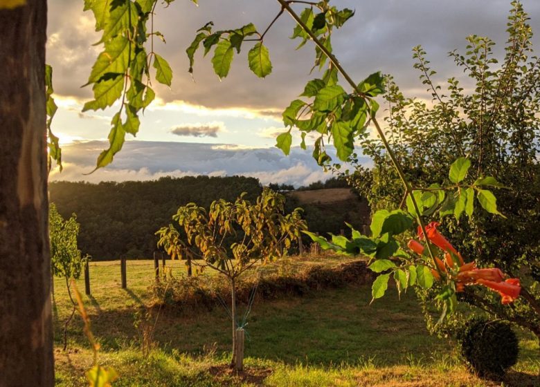 La Colline aux Sauterelles