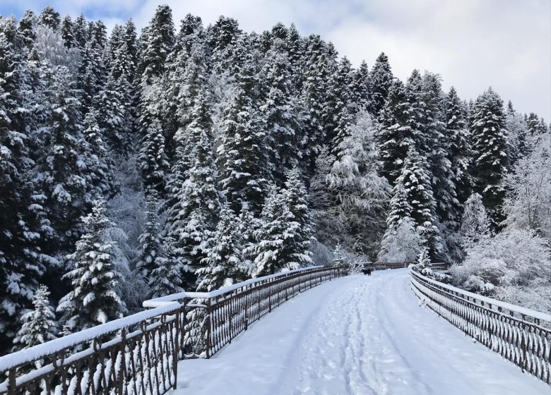 Au Paradis du Loir