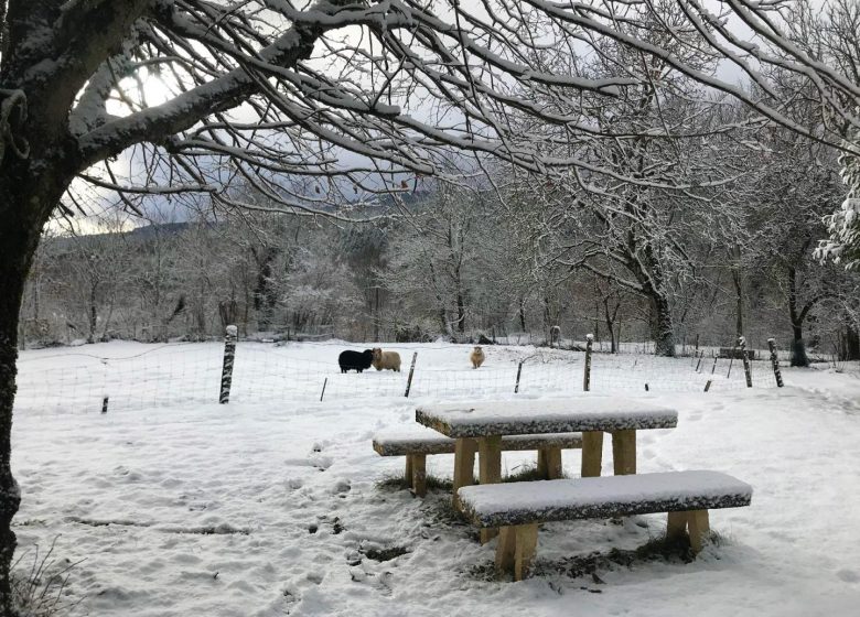 Au Paradis du Loir