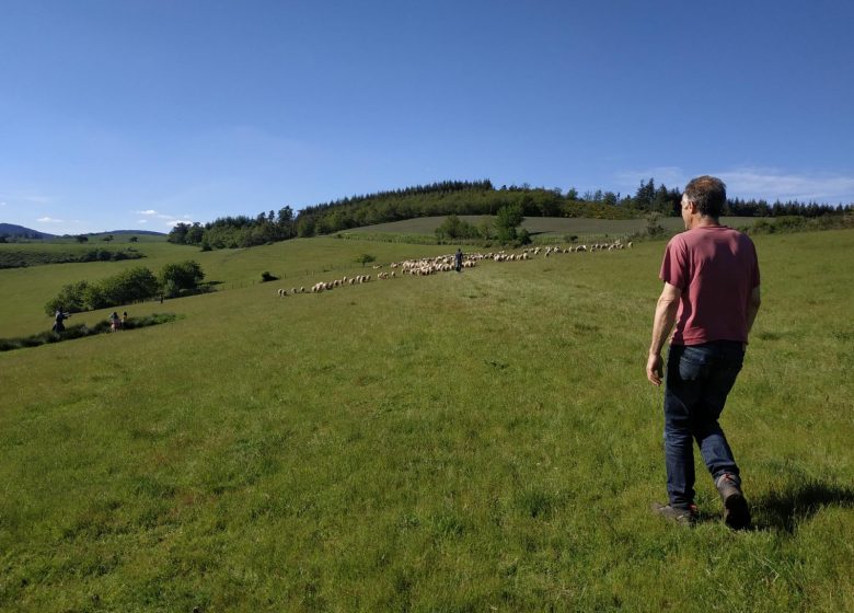 Ferme du Bouchet