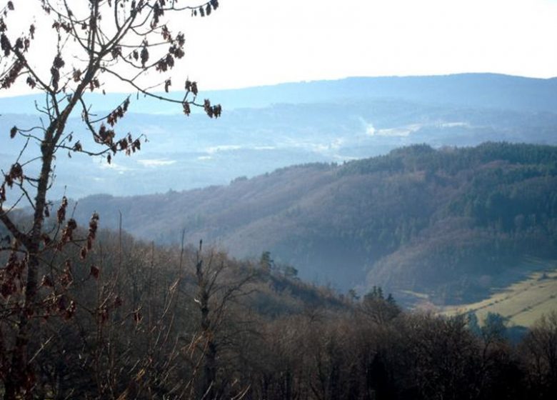 Le Chalet des Papillons