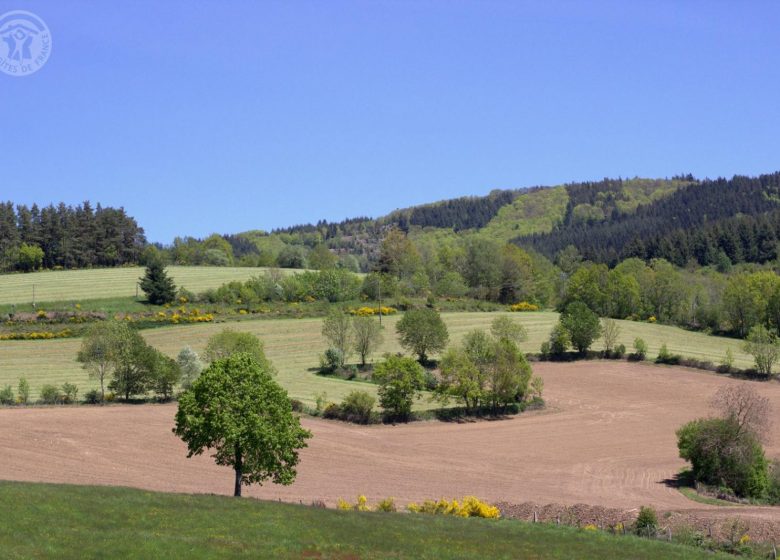 Gîte aux Hirondelles