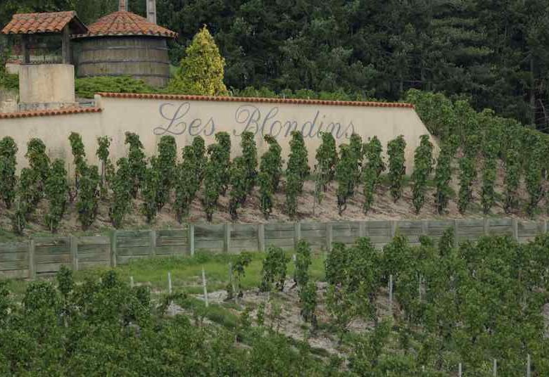 Le Vignoble des Blondins – Michel Troisgros et Stéphane Sérol