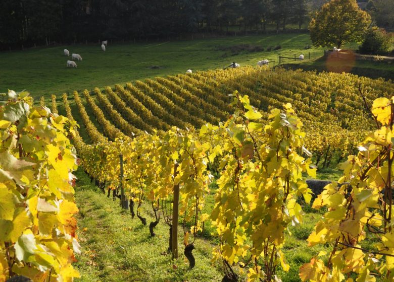 Le Vignoble des Blondins – Michel Troisgros et Stéphane Sérol