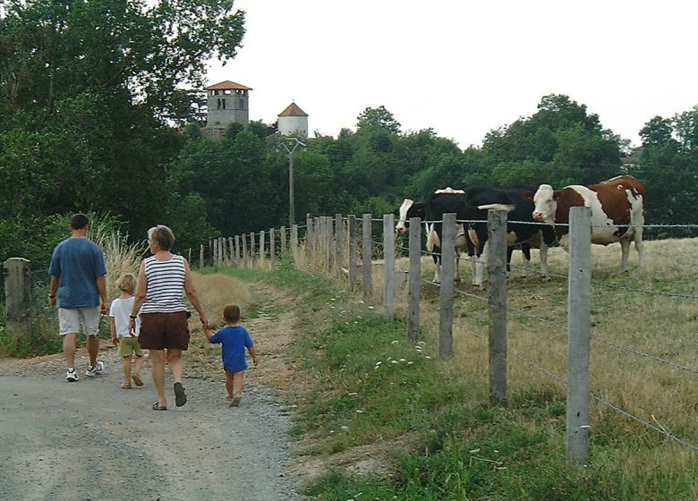 La Commanderie de Verrières