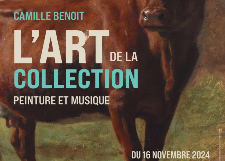 L’art de la collection