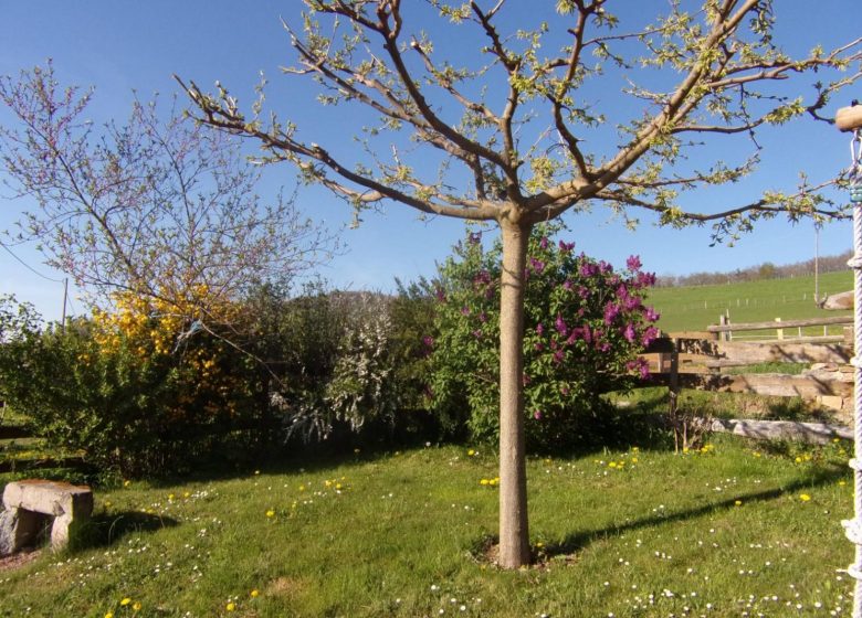 La Colline aux Sauterelles