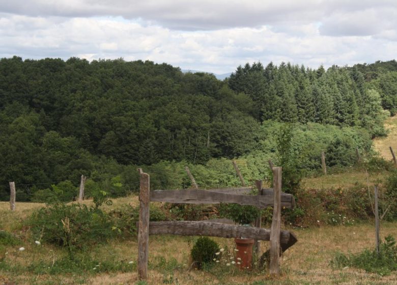 La Colline aux Sauterelles