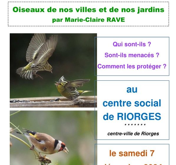 Conférence « Oiseaux des villes et des jardins »