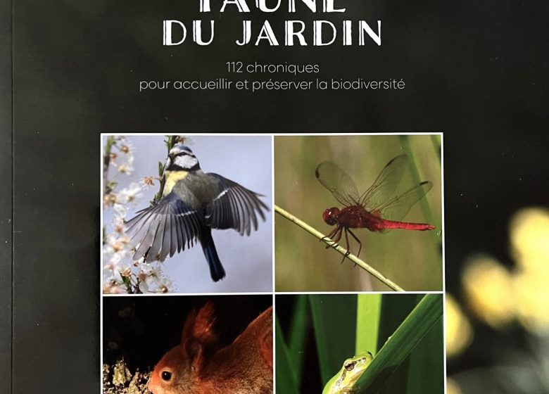 Conférence « Oiseaux des villes et des jardins »