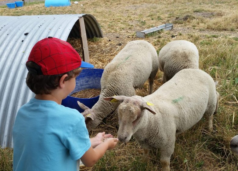 Ferme la Triplette Charoline