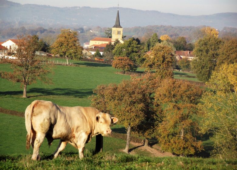 Ferme la Triplette Charoline