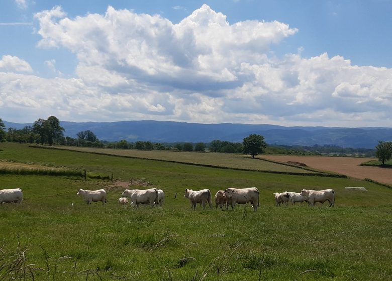 Ferme la Triplette Charoline