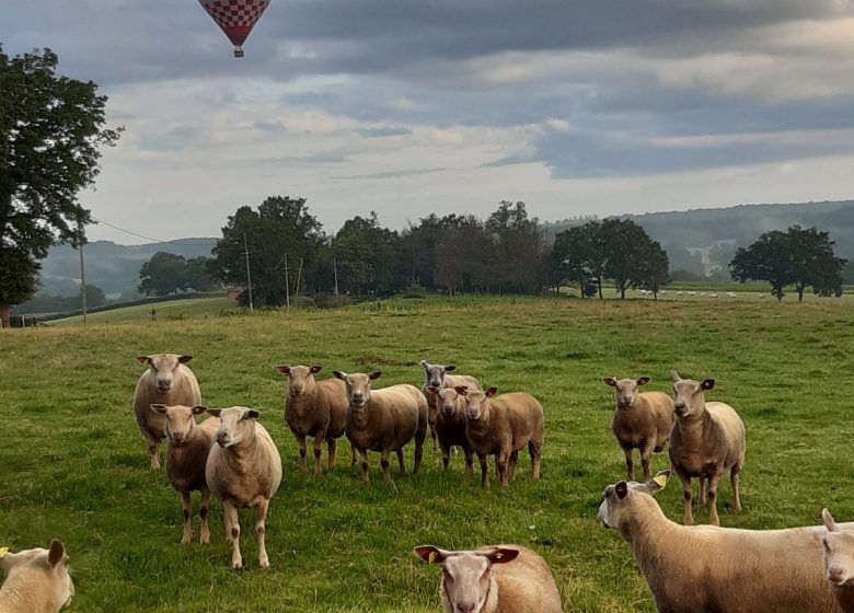 Ferme la Triplette Charoline