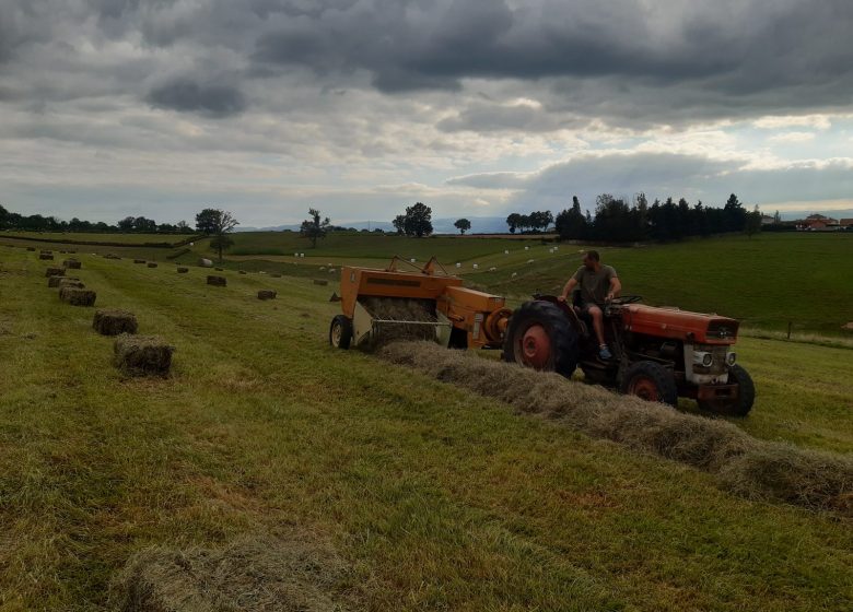 Ferme la Triplette Charoline