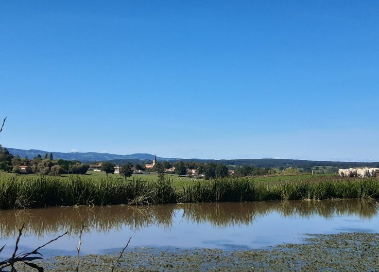 Ferme la Triplette Charoline