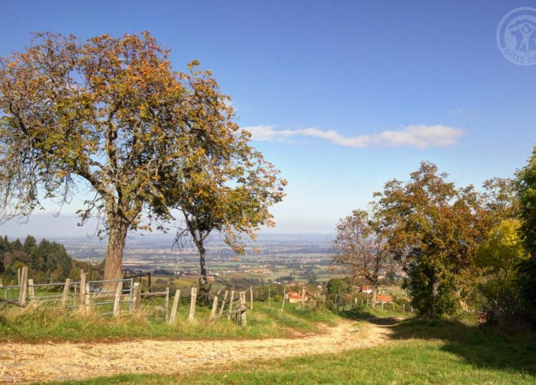 La Ferme des Galoches