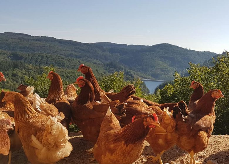 La Ferme des Noës