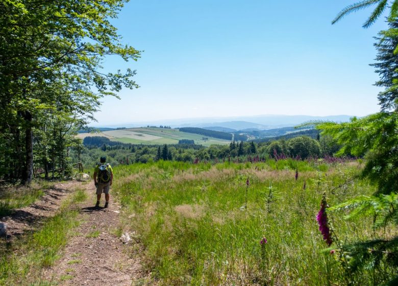 Itinérance au cœur des Monts de la Madeleine