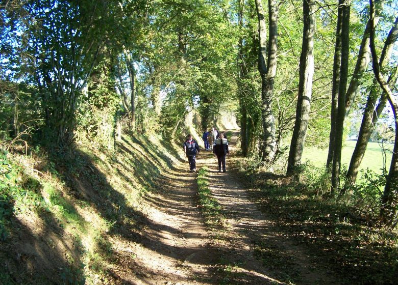 Circuit du Château de Rilly