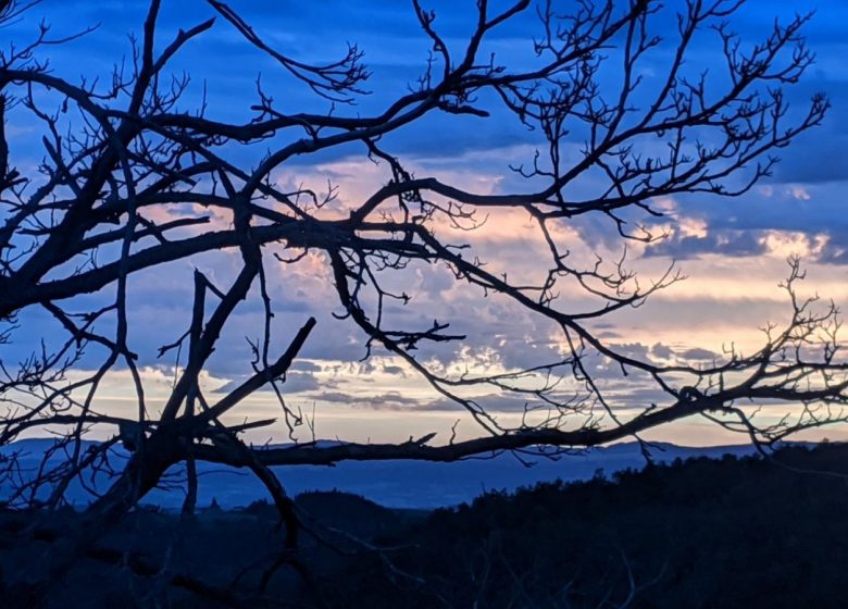 La Colline aux Sauterelles