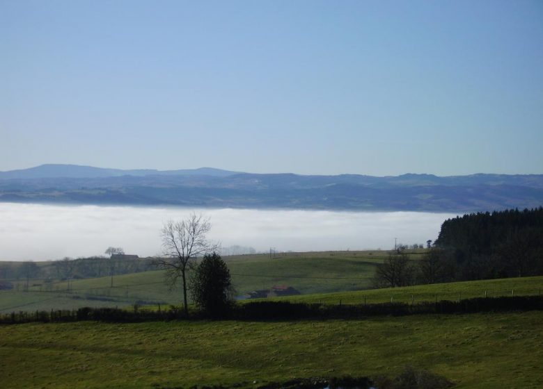 La Colline aux Sauterelles