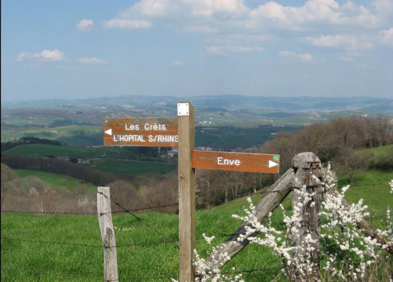 La Colline aux Sauterelles