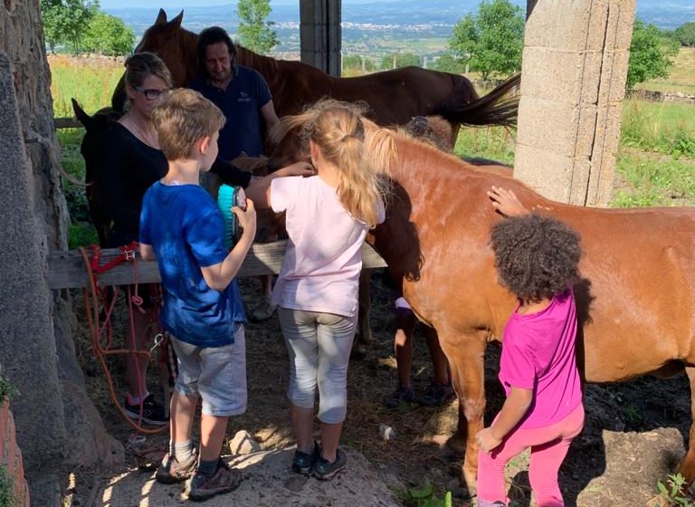 La Ferme des Galoches