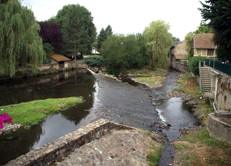 Cours d’Eau : Le Rhins